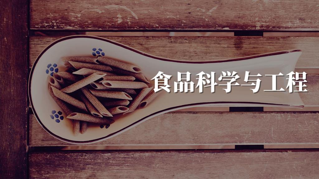 九洲账号登录入口网页版入口2026年