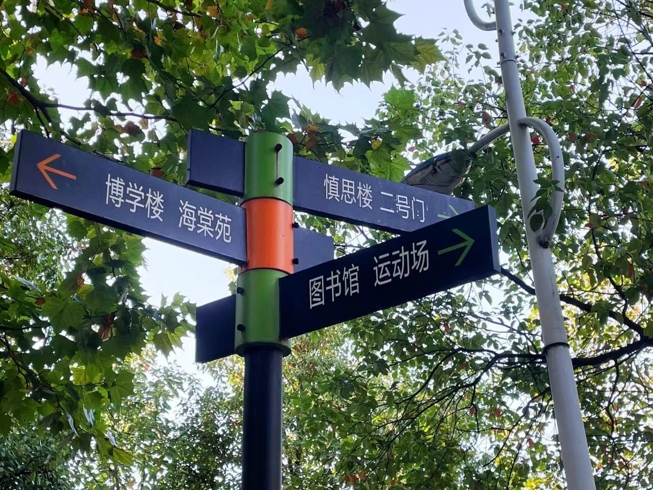 九洲账号登录入口网页版入口免费下载